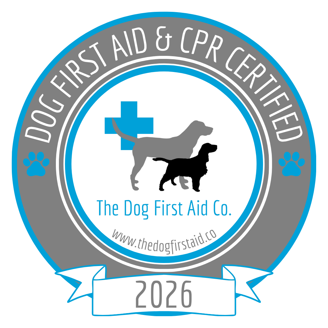 2026 badge transparent background (1)